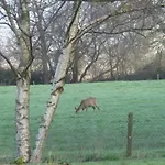 Couette-café La Synchronicité - D'hôtes 3*