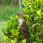 Couette-café La Synchronicité - D'hôtes Saint-Sauveur-Villages