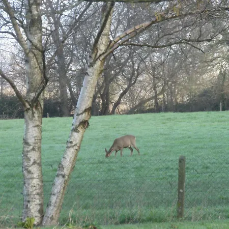 فندق مبيت وإفطار Domaine La Synchronicite - Et D'hotes 3*