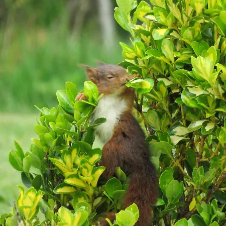 فندق مبيت وإفطار Domaine La Synchronicite - Et D'hotes Saint-Sauveur-Villages