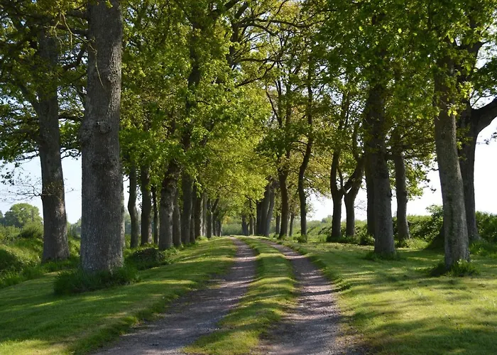 Domaine La Synchronicite - Et D'hotes Saint-Sauveur-Villages