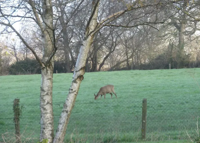 Bed & Breakfast Domaine La Synchronicite - Et D'hotes 3*