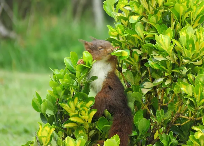 Bed & Breakfast Domaine La Synchronicite - Et D'hotes Saint-Sauveur-Villages