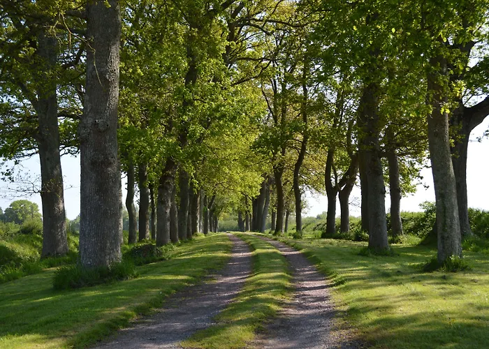 Bed & Breakfast Domaine La Synchronicite - Et D'hotes Saint-Sauveur-Villages